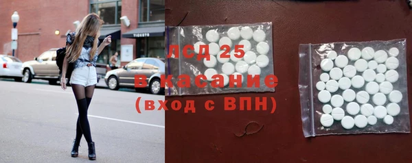 стаф Алзамай