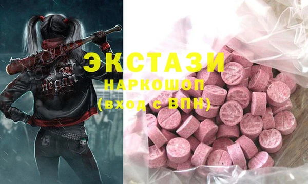 стаф Алзамай