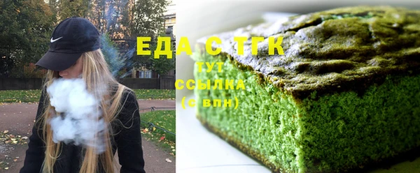 стаф Алзамай