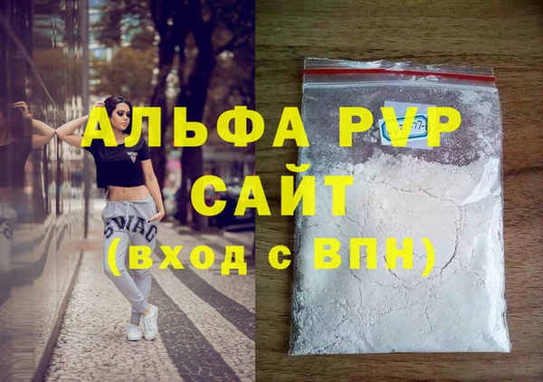 стаф Алзамай