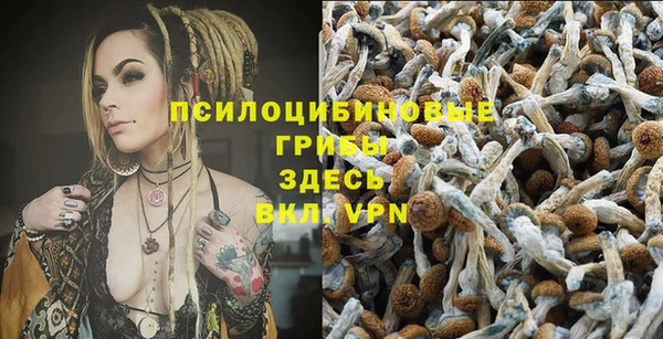 ПСИЛОЦИБИНОВЫЕ ГРИБЫ Михайловск