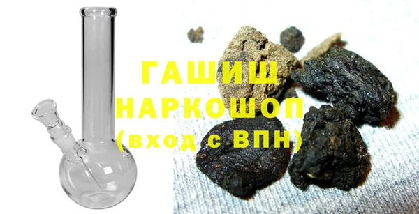 стаф Алзамай