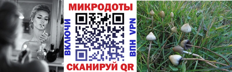 Галлюциногенные грибы мухоморы  Владивосток 